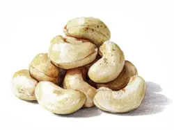 Cashews