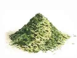 Kürbiskernpresskuchen